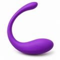 Wireless Bluetooth G Spot Vibrator